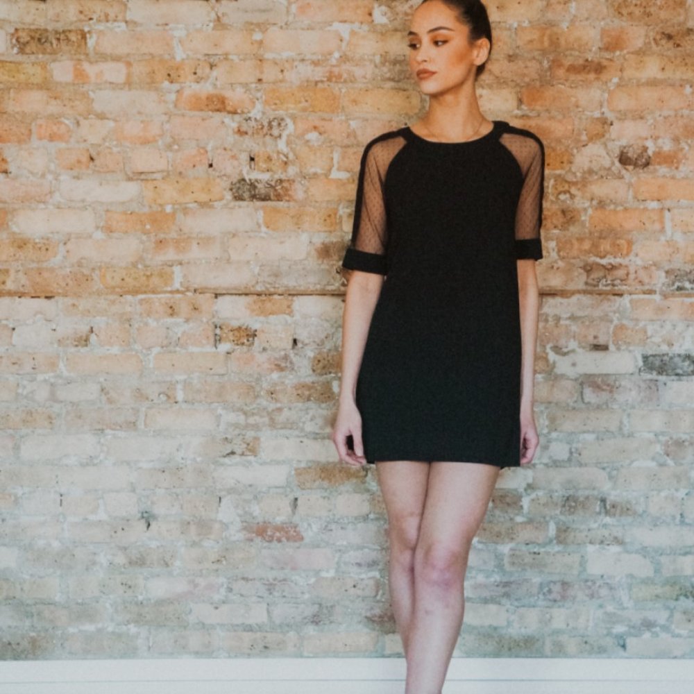 NWT Sheer Sleeve Black Mini T-Shirt Dress - Picture 4 of 8